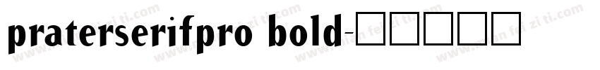 praterserifpro bold字体转换